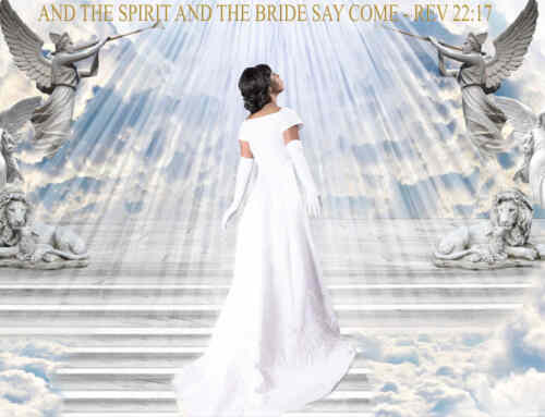 What does Revelation 19:6-8 mean? (Marriage of the Lamb)