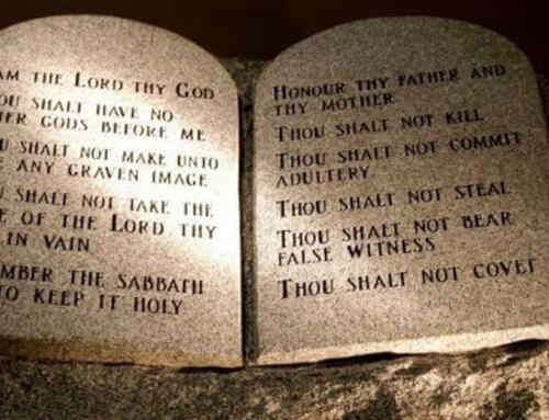 What was the importance of the fat of the animals in all the various Tabernacle offerings? Why was it burnt and not eaten? What is the importance of the kidneys and the lobe of the liver in the offerings?