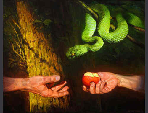 Why Does God Permit Evil? – Keynotes of Faith