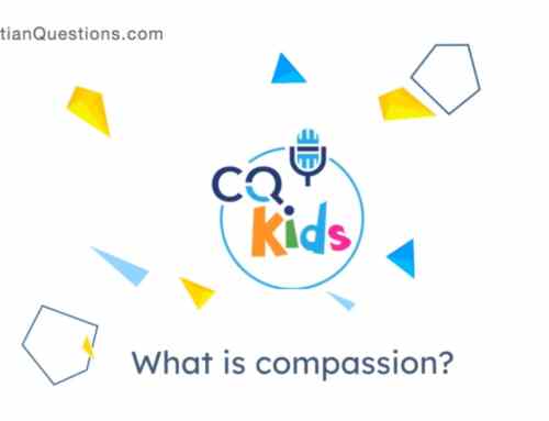 What is compassion?