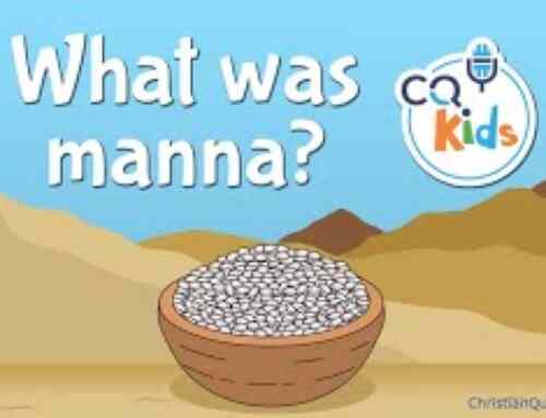 What was manna?