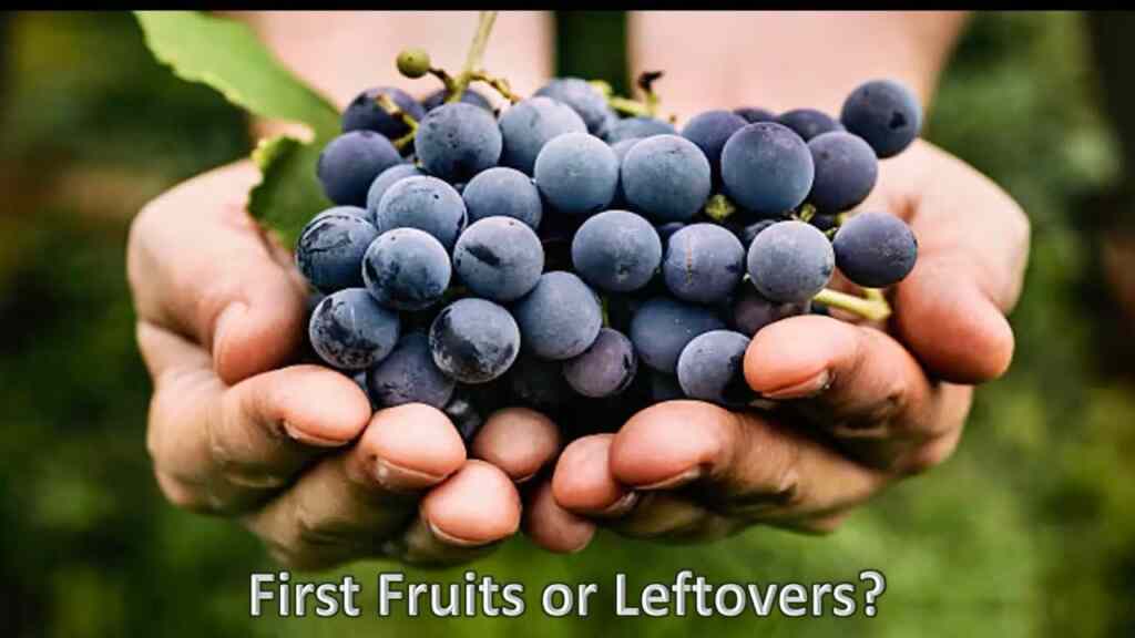Firstfruits or Leftovers?