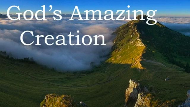 God’s Amazing Creation