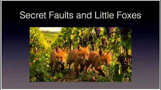 Secret Faults and Little Foxes