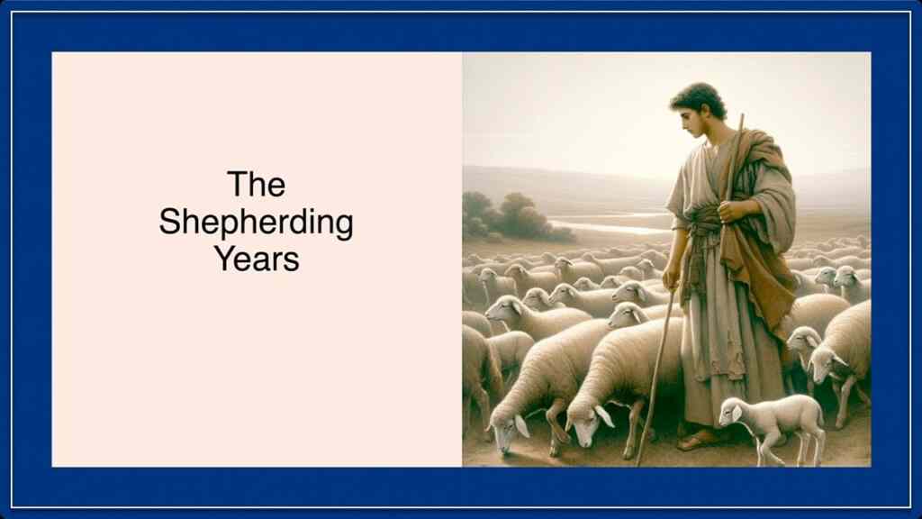 The Shepherding Years