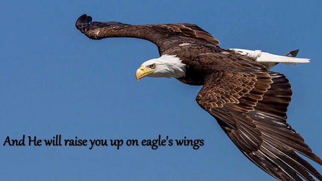 On Eagles Wings (Song)
