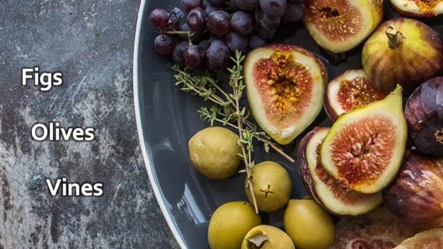 Figs, Olives and Vines