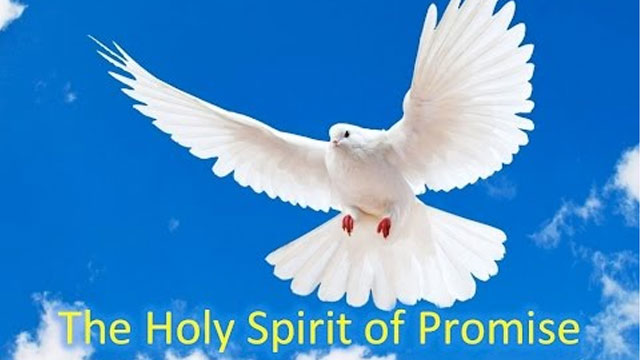 The Holy Spirit of Promise – Faith’s Foundations #12