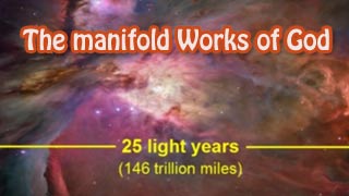 The Manifold Works of God
