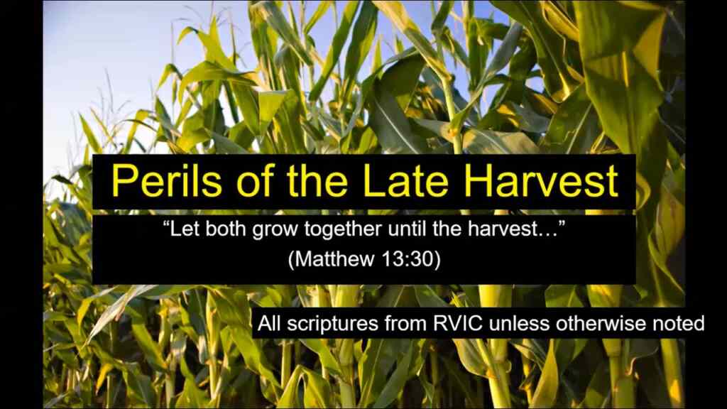 Perils of the Late Harvest