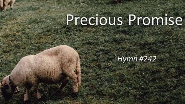242. Precious Promise (Song)