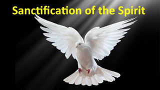 Sanctification of the Spirit – Faith’s Foundations #14