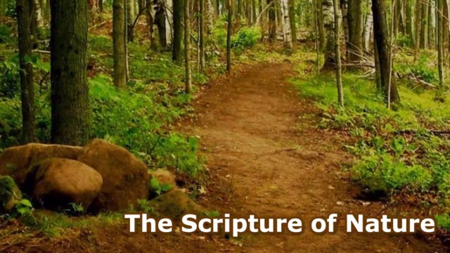 The Scripture of Nature