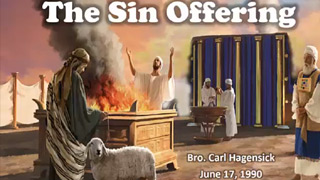 The Sin Offering