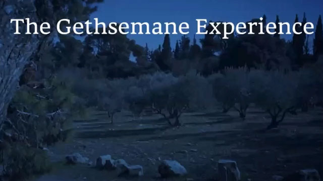 The Gethsemane Experience