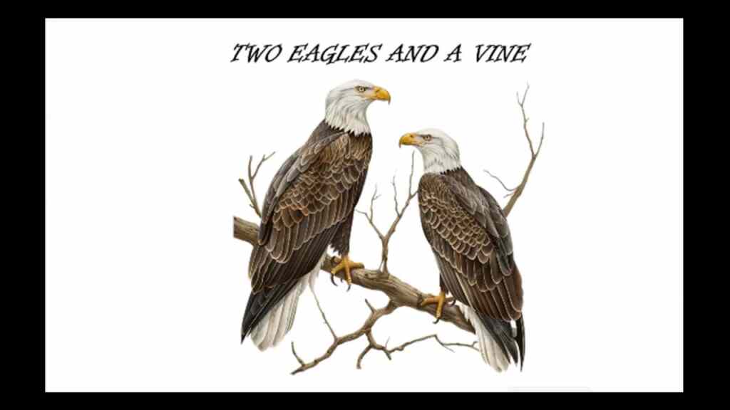 Two Eagles and a Vine