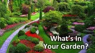 What’s In Your Garden?