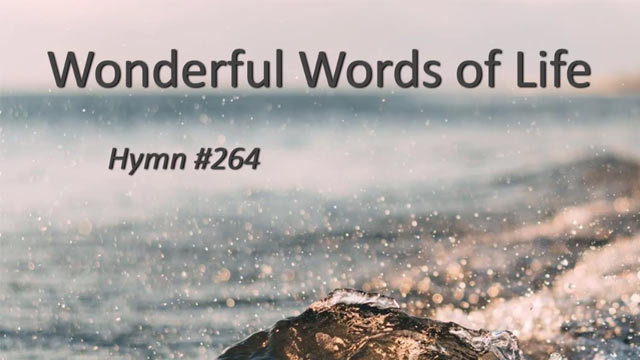264. Wonderful Words (Song)